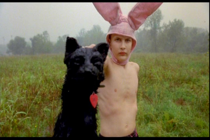 Gummo Black Cat